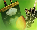 Sukkot & Simchat Torah